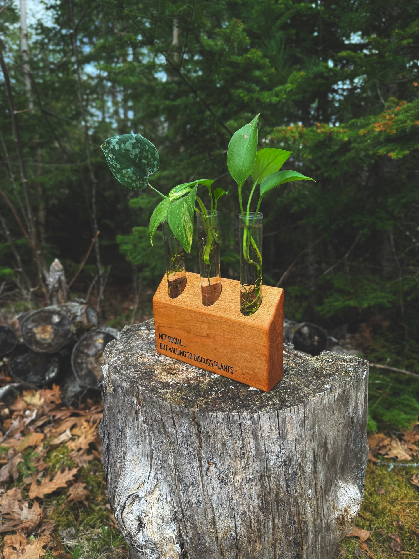 Introvert 3 tube propagation station