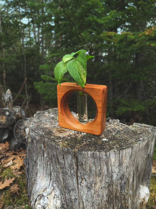 Circular single tube propagation station