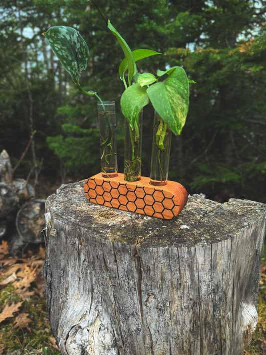 Honeycomb Propagation Station