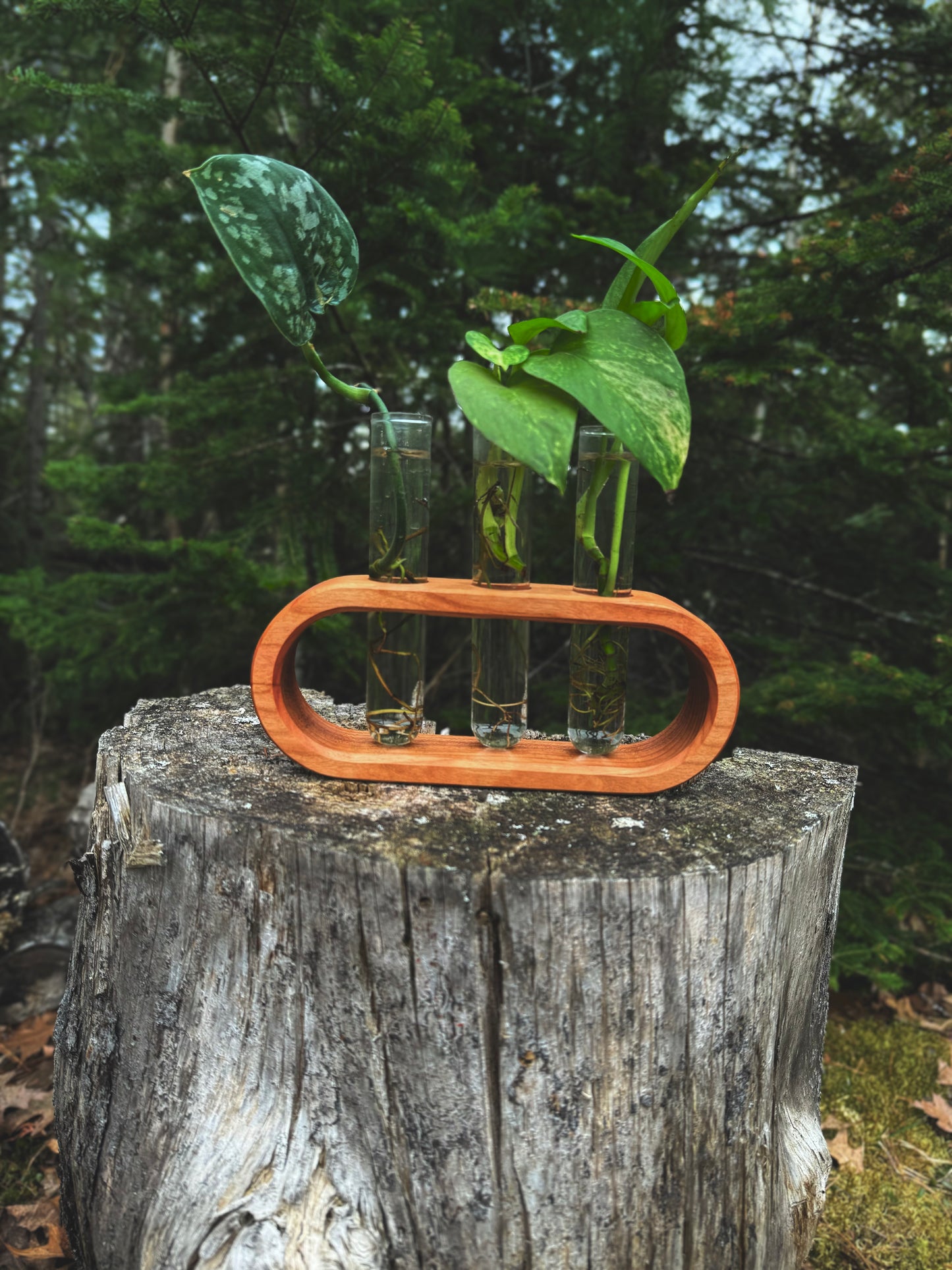 Retro Oval Propagation Station