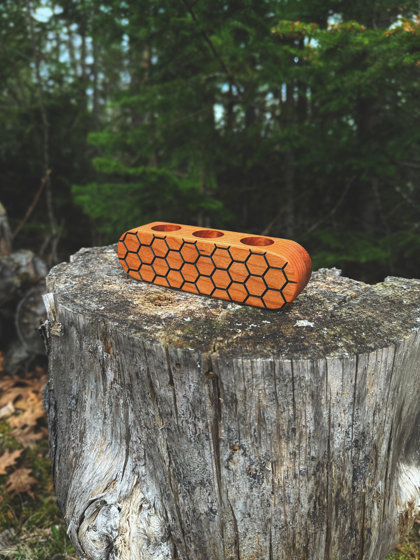 Honeycomb Propagation Station