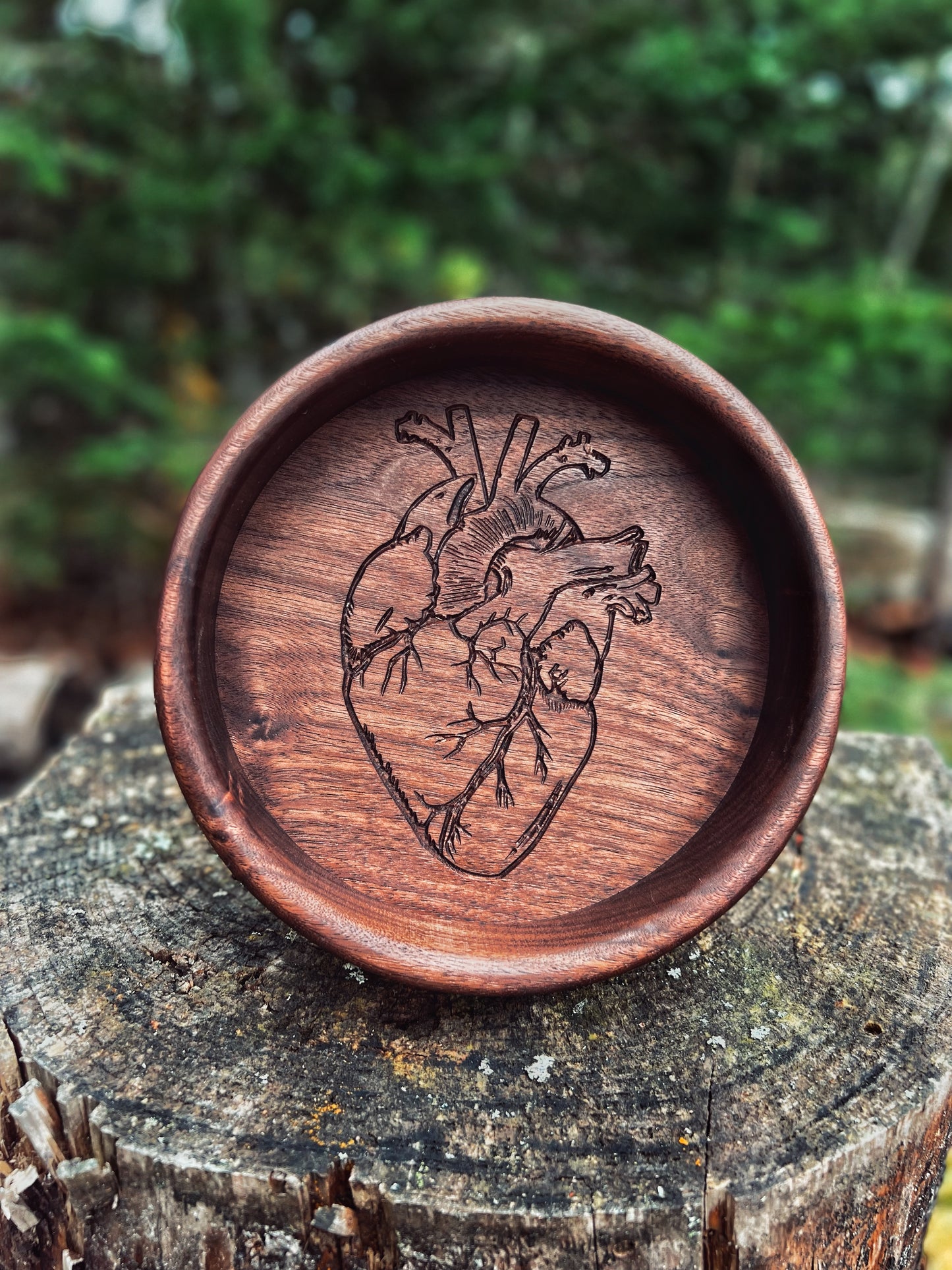 Anatomical Heart Dish