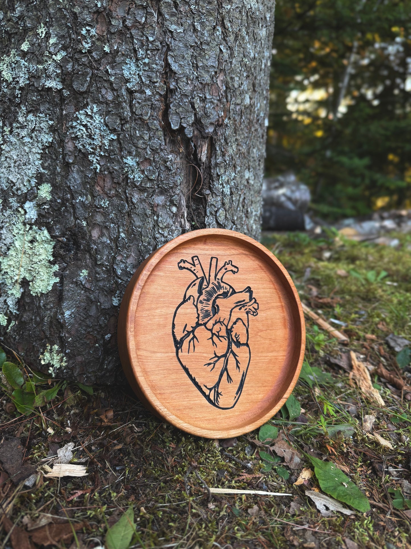 Anatomical Heart Dish